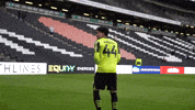 Full-Time Phoenix GIF by Fleetwood Town Football Club