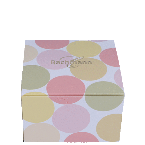 bachmannconfiserie switzerland schweiz macaron kuchen Sticker