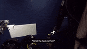 whale place GIF
