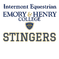 Stingersup Sticker by ehequine