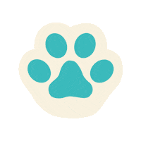 Cat 고양이 Sticker by lotte-nestle