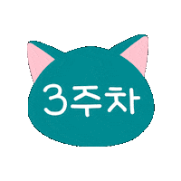 Cat 고양이 Sticker by lotte-nestle
