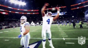Dallas Cowboys Football GIF by NFL