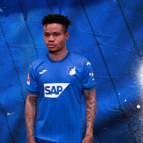 Sport Bundesliga GIF by TSG Hoffenheim