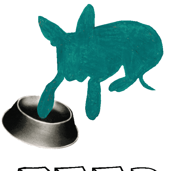 candiceevers dog food hungry feed me Sticker