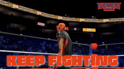 Go Lucha Libre GIF by Guerrero Maya