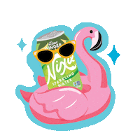 drinknixie flamingo nixie nixie sparkling water nixiesparklingwater Sticker