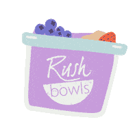 Rush_Bowls joy fruit smoothie acai Sticker