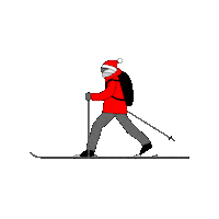 Ski Sticker by arvaequipment