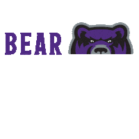 Central Arkansas Go Bears Sticker by University of Central Arkansas