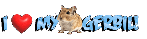 Guinea Pig Love Sticker