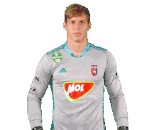 Football Vidi Sticker by MOL Fehérvár FC