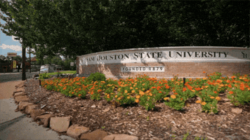 Sam Houston College GIF by SHSU Program Council