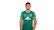Niclas Füllkrug Sticker by SV Werder Bremen