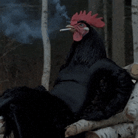Forest Smoking GIF
