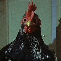 Rooster GIF