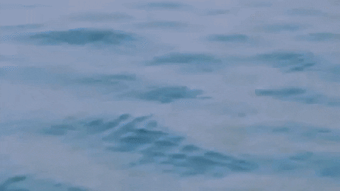 Under Water Swimming GIF by Tennis