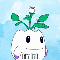 You Got It Yes GIF by Magic Eden