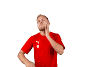 Van Buren Slavia Sticker by FORTUNA:LIGA