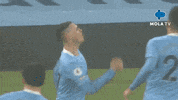 Happy Premier League GIF by MolaTV