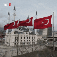 Flag Turkey GIF by TRT
