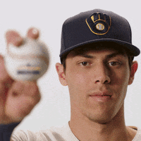 Christian Yelich Baseball GIF by American Family Insurance