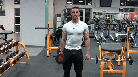 comment-economiser giphyupload GIF