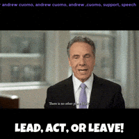 New York Vote GIF by Andrew Cuomo