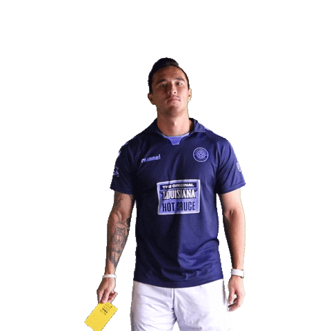 Football Club Wolfsburg Sticker by Chattanooga FC