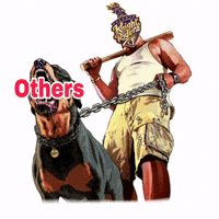 Kolkata Knight Riders GIF