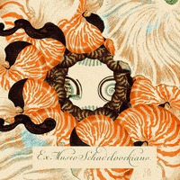 You_jin animation circle glas2022 seashells GIF