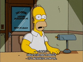 homer simpson episode 3 GIF