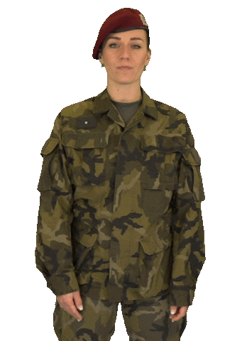 armadaceskerepubliky giphyupload wow army boring Sticker