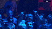 GIF by BLAST