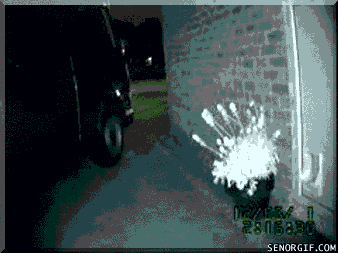 cat stealing GIF by Cheezburger
