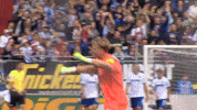 Torwart GIF by Holstein Kiel