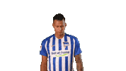 happy football Sticker by Hertha BSC