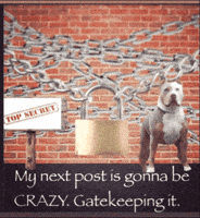Keep Top Secret GIF