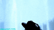 ConsistentlyCoolProductions dance blue water queens GIF