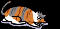tameowder cat kitty murah yona GIF