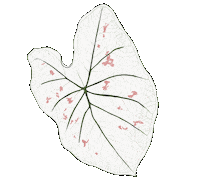 Chelcieelise happy green earth plant Sticker