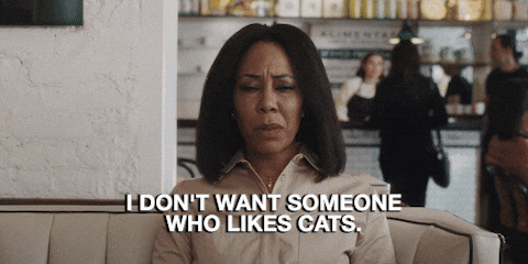 Material Girl Cats GIF by A24