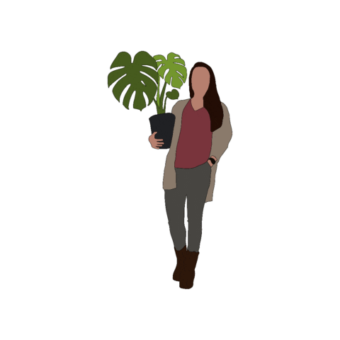 SketchUp design 3d creative plant Sticker