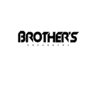 BrothersOrchestra happy party dj live Sticker