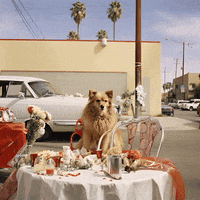 echo_echo_studio christmas ai holidays california GIF