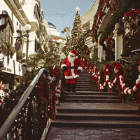 echo_echo_studio christmas ai holidays california GIF