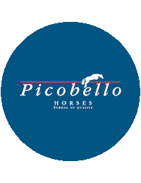 Jumping Sticker by Picobello Horses