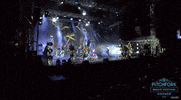 pitchfork music festival GIF by Pitchfork
