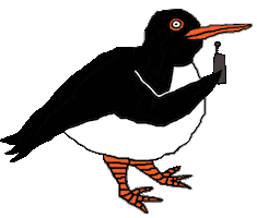 Phone Call Hello Sticker by Angry Duck