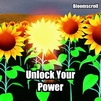 Wisdom Enlightenment GIF by Bloomscroll